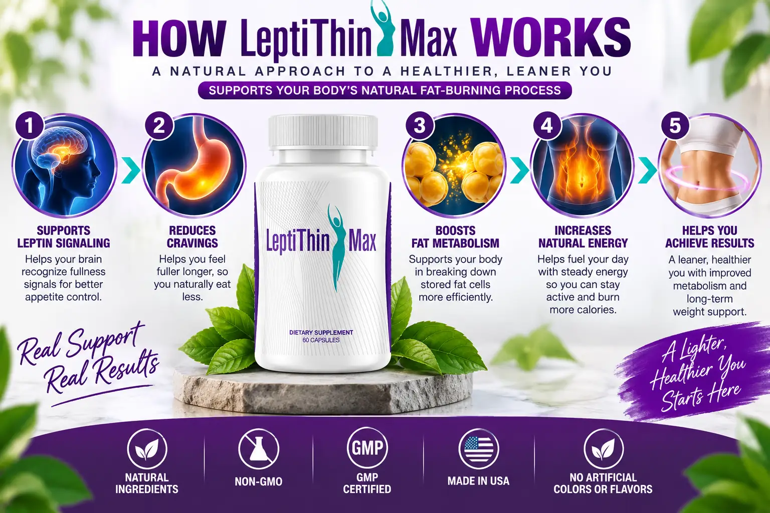 How Leptithin Max works: supports leptin signaling, reduces cravings, boosts fat metabolism, increases natural energy, and helps you achieve results